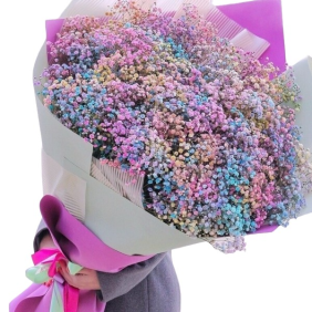  Antalya Flowers Order 35 Renkli Cipsofilya Buket