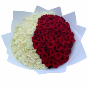  Antalya Flowers Order 151 Adet Kırmızı Beyaz Gül Buket