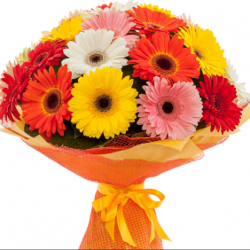  Antalya Flowers Order 15 Adet Gerbera Buket